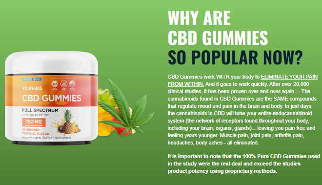 YouNabis CBD Gummies Review USA, Pain Relief, Top Natural, Side Effects Shark Tank, Price, Amazon & Buy!