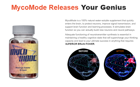 Myco Nootropic Brain Gummies Best Nootropic Supplements for Brain Health Support