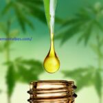 Wonder Leaf CBD Oil | Fix Your Opioid Pain And Stress With Spectrum