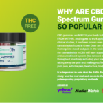 Green Otter CBD Gummies | Multi Benefits like relieve pain and stress