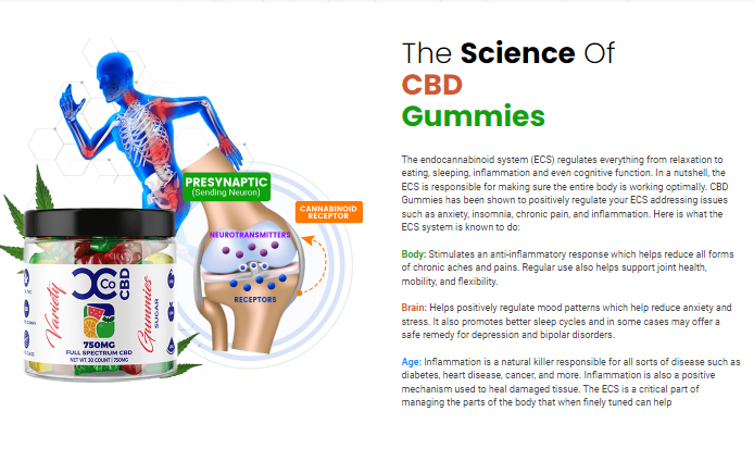 Nature Source CBD Gummies – Is It Trusted Or Fake? Read (Pros And Cons)