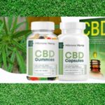Hillstone Hemp CBD Gummies (Cost Exposed) 300 mg | Where to Buy?