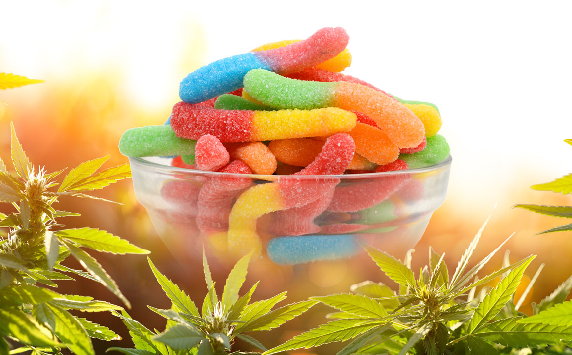 Total CBD RX Gummies