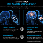 Premind Brain Performance